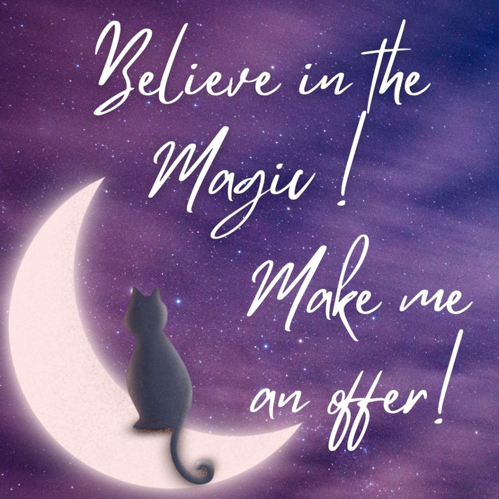 **** Make Magic Happen....Make Me an Offer! I Entertain them All!!